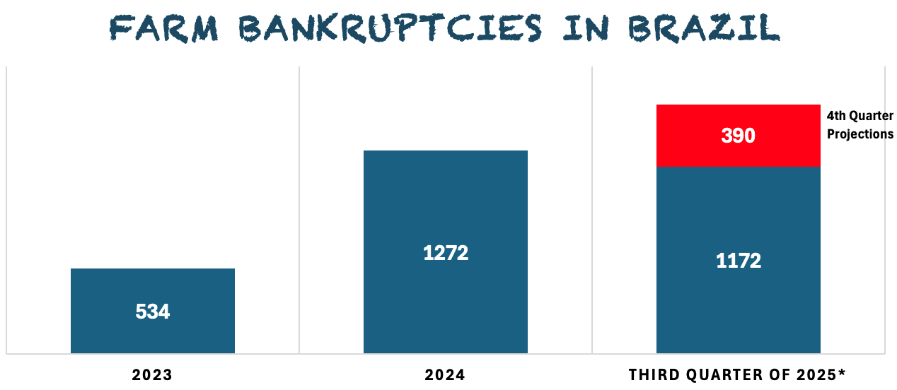 Farm bankruptcies in brazil since 2023